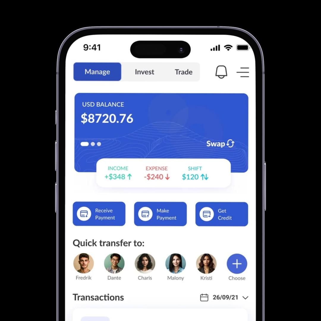 Payvost dashboard preview